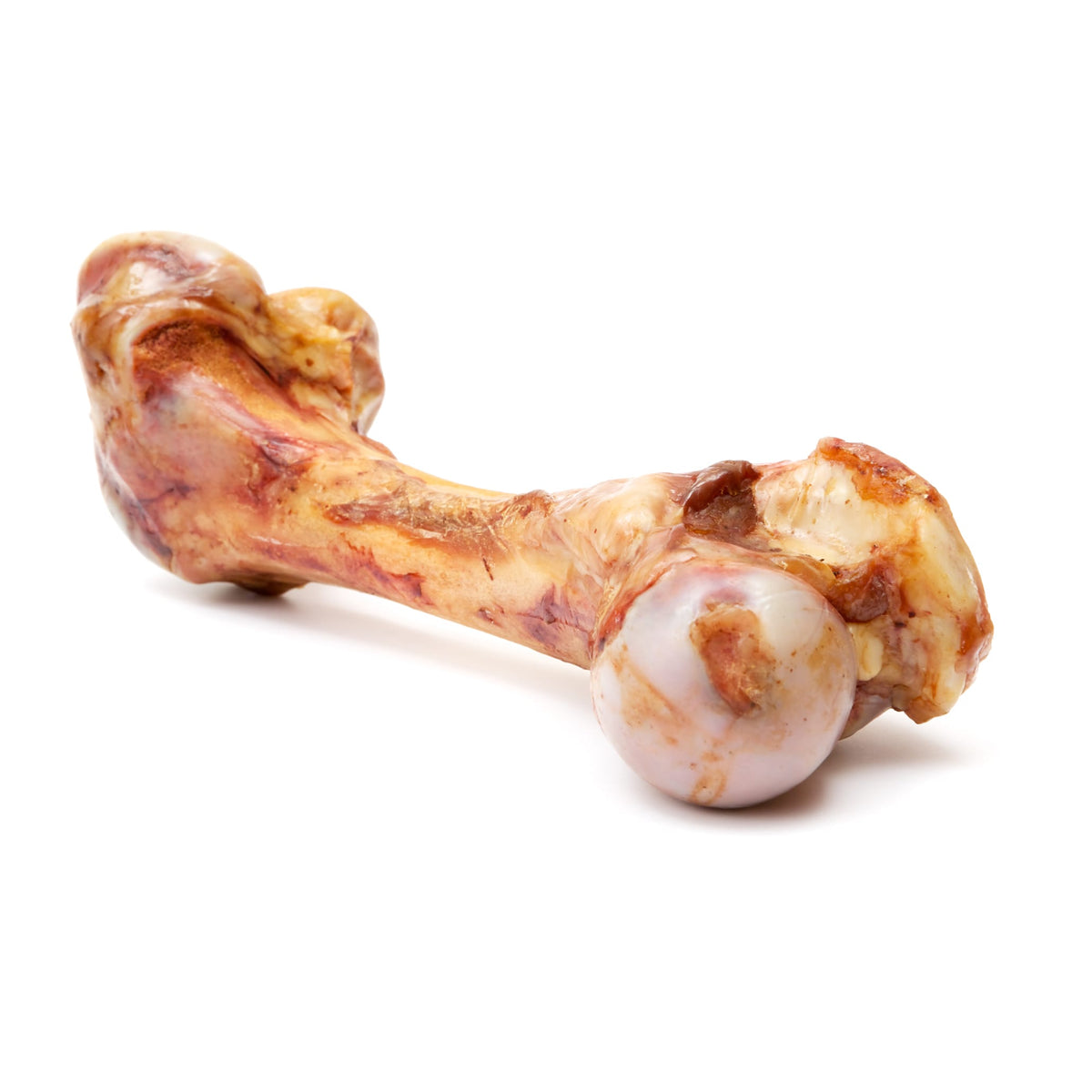 Femur Bone