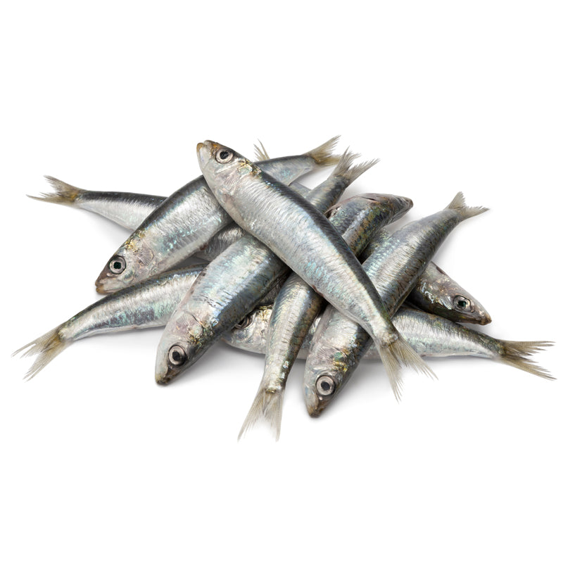 Fish