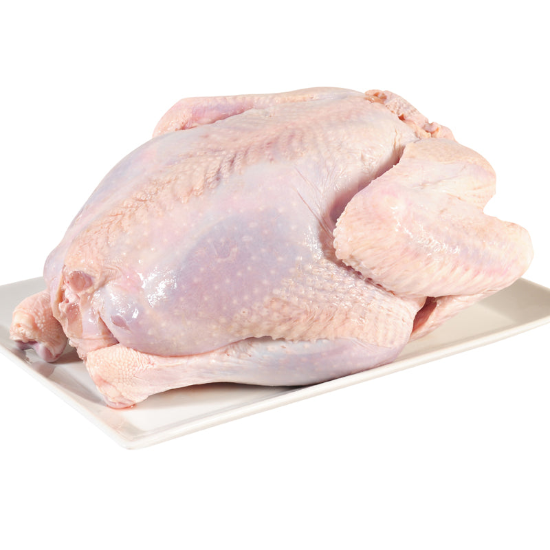 Turkey
